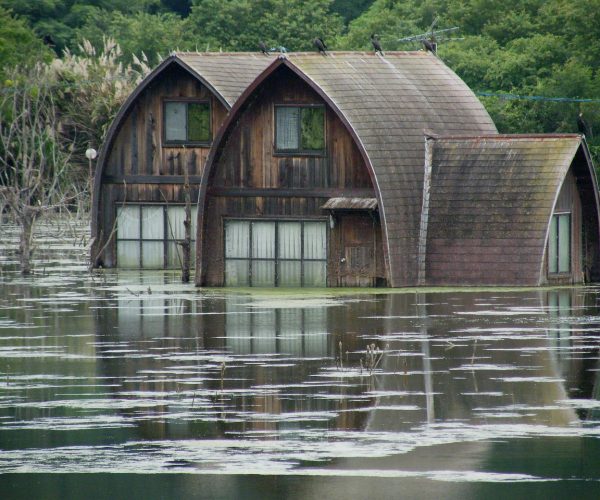 Water Mitigation​