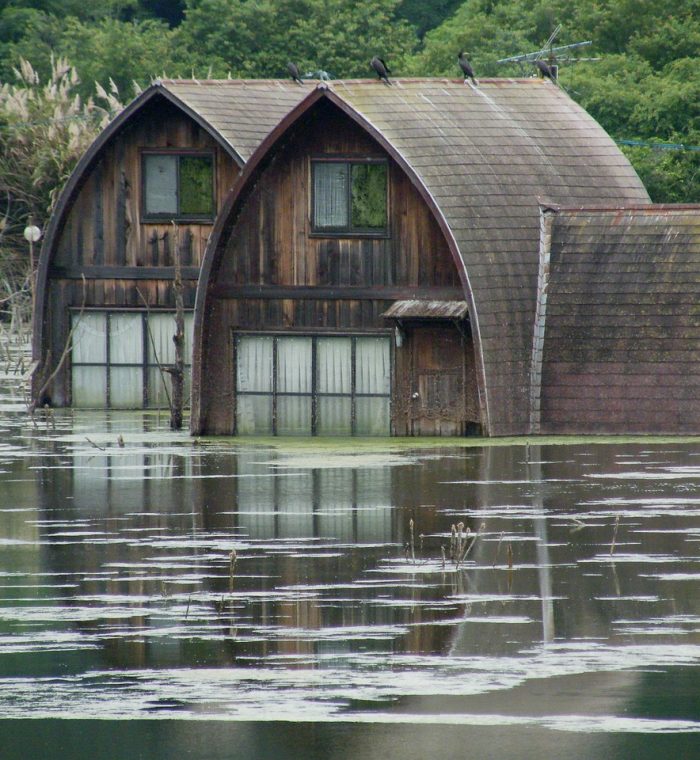 Water Mitigation​
